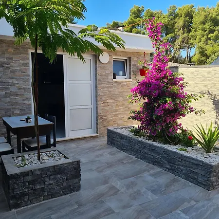 Villa Sandrina Donji Okrug  Exterior photo